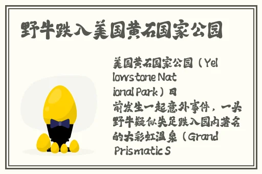 MD传媒资源免费观看沈芯语