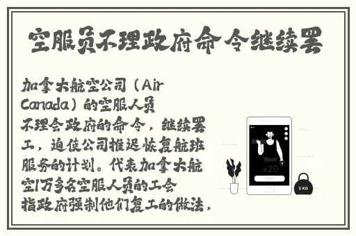 久久手机娱乐网